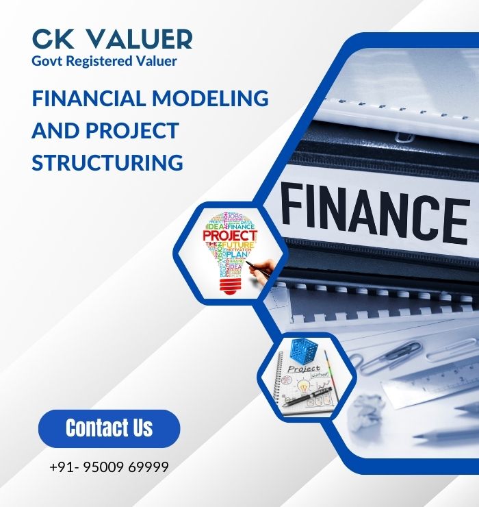 Financial Modeling and Project Structuring