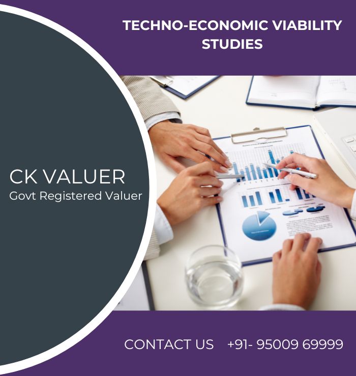 Techno-economic viability studies By CK Valuer